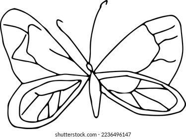 Latest butterfly hand drawn design