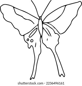 Latest butterfly hand drawn design