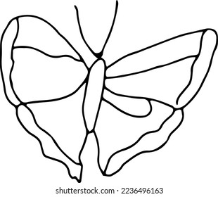 Latest butterfly hand drawn design