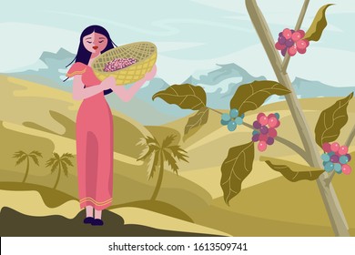 Latin American female coffee farmer characters hold basket with mature coffee beans. Panoramic coffee plantation landscape. Branch with coffee beans and hills background. Flat Art Vector Illustration