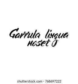 Latin inspirational quote. Hand drawn lettering based on calligraphy. Typography concept for t-shirt design, home decor element or posters. Garrula lingua noset - talkative tongue is bad