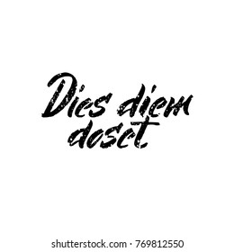 Latin inspirational quote. Illustration of Hand drawn lettering based on calligraphy. Typography concept for t-shirt design, home decor element or posters. Dies diem docet - one day teaches another