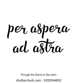 Latin Quote handwritten lettering. Inspirational Latin quote. Vector calligraphy. Modern poster design. Lettering photography overlay - latin phrase.