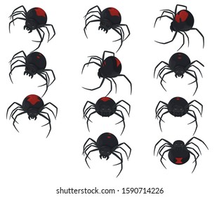 Latrodectus is a broadly distributed genus of spiders with several species that together are referred to as true widows. This group is composed of those often loosely called black widow spider 