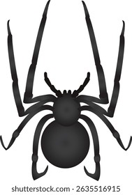 Latrodectus is a broadly distributed genus of spiders with several species that are commonly known as the true widows. 