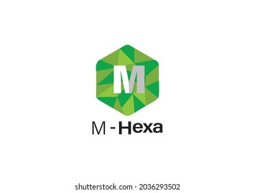 Latter M vector hexagon logo icon template design