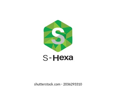 Diseño del icono del logotipo del hexágono del vector S del último