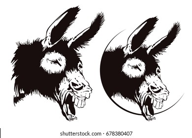 Laughing donkey. Vector illustration.