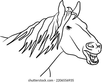 Laughing horse realistic line art drawing. Isolated vector sketch illustration of a funny horse. Minimalist animal art.