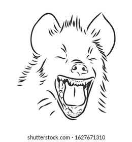 laughing hyena portrait, vector sketch illustration 