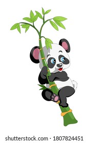 The laughing panda climb onto the bamboo, design cartoon vector illustration