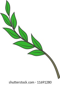 Laurel branch