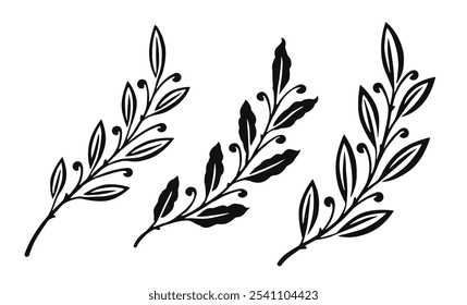 Laurel branch with bay leaves and berries. Decorative floral pattern design elements set