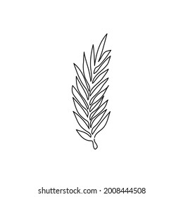 Laurel branch continuous line drawing. One line art of leaves, plants, herb.