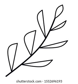laurel branch  with leaves, simple image outline