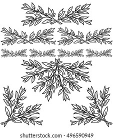laurel branch motif to frame or border