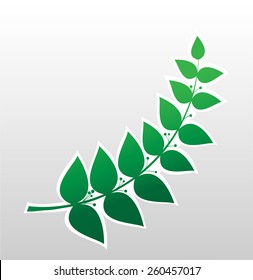 laurel branch, symbol of victory