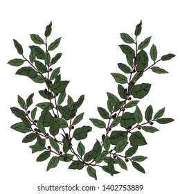 Laurel branches. Hand drawn picture. Vector illustration.