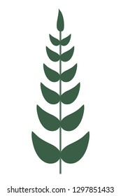 laurel branches icon