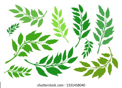 Laurel branches are a set of different versions of shapes and colors. Vector illustration
