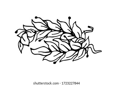 Laurel branches tied in a wreath as a symbol of glory and victory vector illustration with black contour lines in hand drawn style isolated on white background