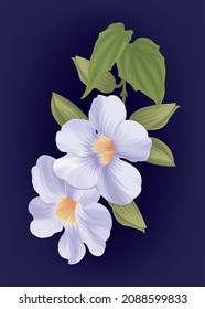 Laurel clockvine flower on dark blue background. Vector set of blooming tropical floral for holiday invitations, greeting card and fashion design.