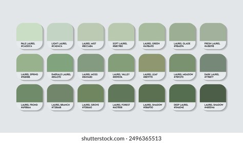 Laurel Color Palette, Laurel Green Color Guide Palette with Color Names. Catalog Samples of Green with RGB HEX codes and Names. Green Colors Palette Vector, Fashion Trend Laurel Green Color Tones