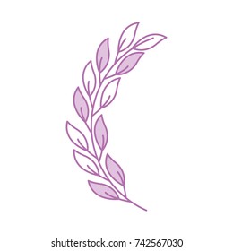 laurel decoration branch competition image