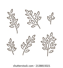 Laurel. Different types of branch. Stylized vector illustration with fat contour.