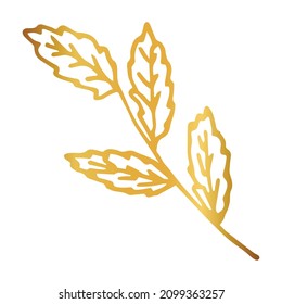 Laurel golden brunch isolated. Boho style concept   for wedding invitation, greeting card,  branding, logo, label, coloring book page. Line art. Vector illustration. 