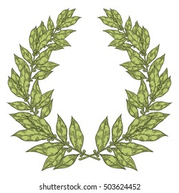 Laurel Green Bay leaf Hand drawn vector illustration. Vintage decorative laurel wreath. Sketch design elements. Perfect for invitations, greeting cards, quotes, blogs, posters and more.