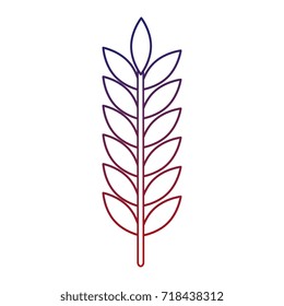 laurel leaf isolated icon