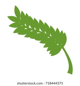 laurel leaf isolated icon