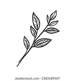 laurel tree branche, eucalyptus, olive leaves, herbs silhouettes. Vector illustration