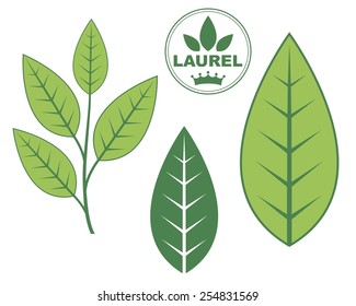 Laurel. Vector illustration. EPS 10. Vector illustration