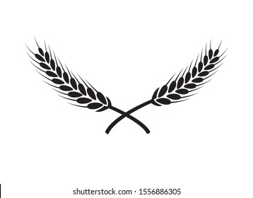 Laurel wreath vector award branch victory icon. Winner laurel wreath vintage leaf emblem.