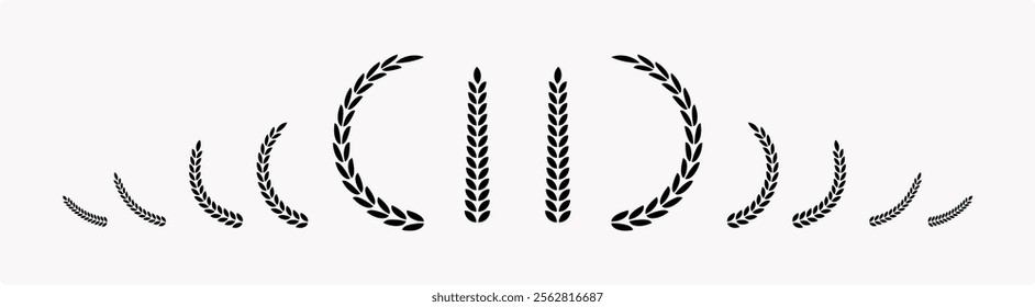 laurels branches. Set of wreaths and branches with leaves. Vintage laurel wreaths collection.