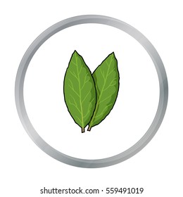Laurus icon in cartoon style isolated on white background. Herb an spices symbol stock vector illustration.