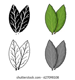 Laurus icon in cartoon style isolated on white background. Herb an spices symbol stock vector illustration.