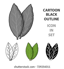 Laurus icon in cartoon style isolated on white background. Herb an spices symbol stock vector illustration.