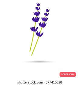 Lavander color flat icon for web and mobile design