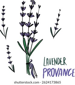 Lavanderflovers Provance Set. Vektorgrafik