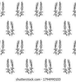 Lavander Pflanzenkizze nahtlos Muster. Handgezeichnetes Kunstdesign-Objekt einzeln auf Stock, Vektorgrafik auf Web, für Druck, für Verpackungsanlagen für Design-Arzneipflanzen