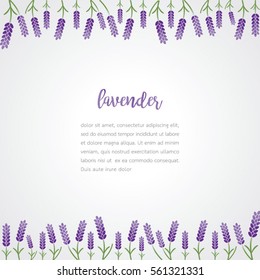 lavender