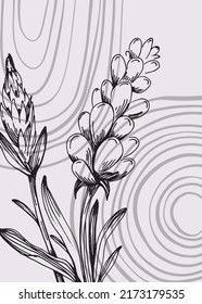 Lavender Abstract Hand Painted Illustrations for Wall Decoration, Postcard, Social Media Banner, Brochure Cover Design Background. Modern Abstract Painting Artwork. Vector Pattern