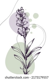 Lavender Abstract Hand Painted Illustrations for Wall Decoration, Postcard, Social Media Banner, Brochure Cover Design Background. Modern Abstract Painting Artwork. Vector Pattern
