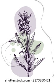 Lavender Abstract Hand Painted Illustrations for Wall Decoration, Postcard, Social Media Banner, Brochure Cover Design Background. Modern Abstract Painting Artwork. Vector Pattern