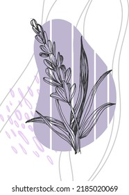 Lavender Abstract Hand Painted Illustrations for Wall Decoration, Postcard, Social Media Banner, Brochure Cover Design Background. Modern Abstract Painting Artwork. Vector Pattern