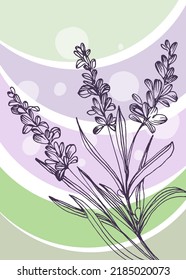 Lavender Abstract Hand Painted Illustrations for Wall Decoration, Postcard, Social Media Banner, Brochure Cover Design Background. Modern Abstract Painting Artwork. Vector Pattern