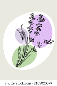 Lavender Abstract Hand Painted Illustrations for Wall Decoration, Postcard, Social Media Banner, Brochure Cover Design Background. Modern Abstract Painting Artwork. Vector Pattern